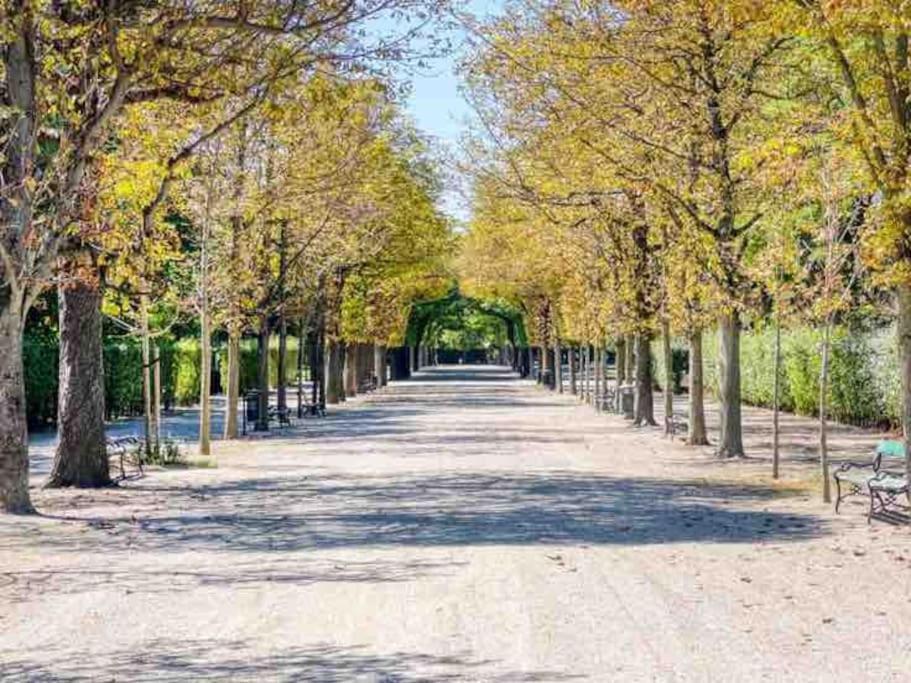 Апартаменты Center Apt In Best Area Near Park & Danube 20'To Airport Вена Экстерьер фото